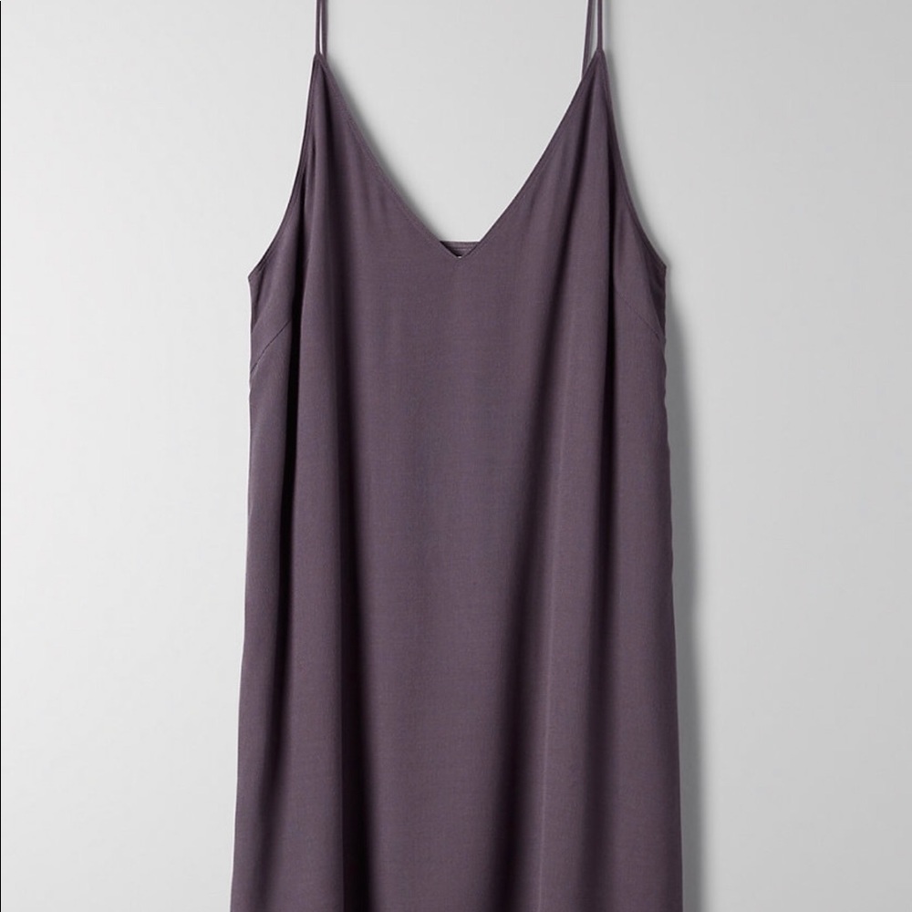 Aritzia Vivienne Slip Dress